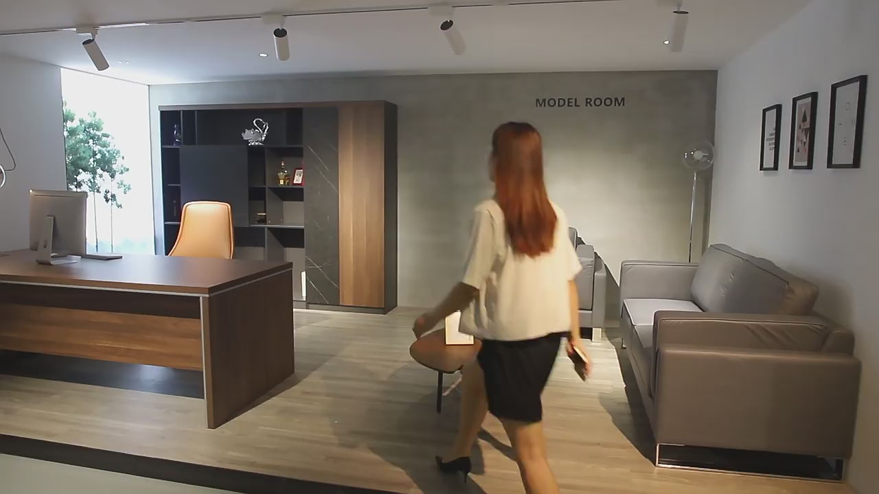 Premium Executive Writing Desk